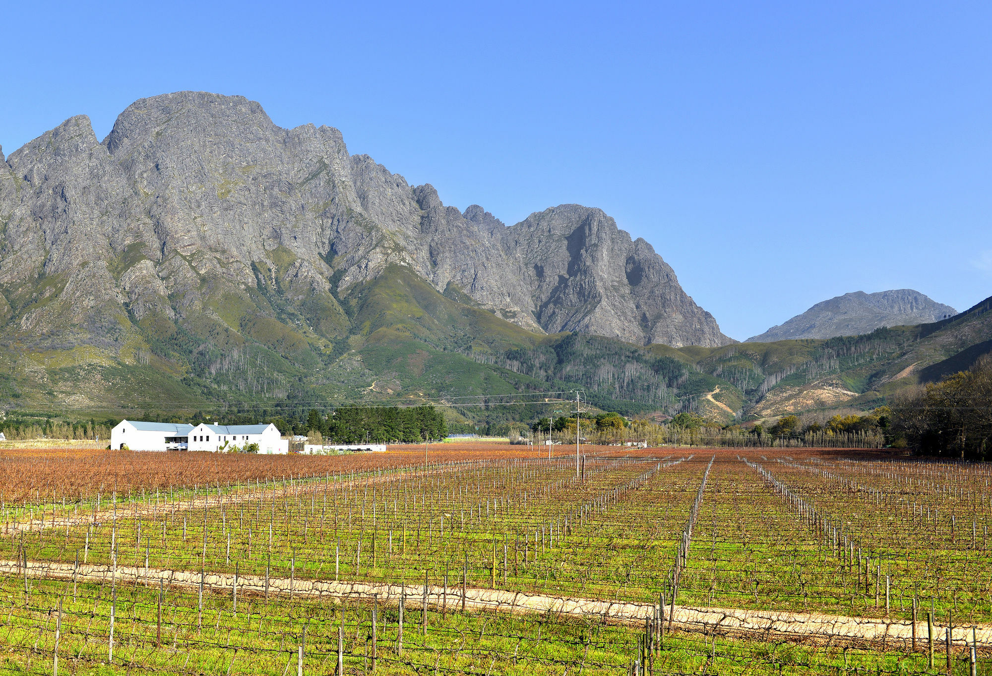Holden Manz Country House Franschhoek Exterior foto